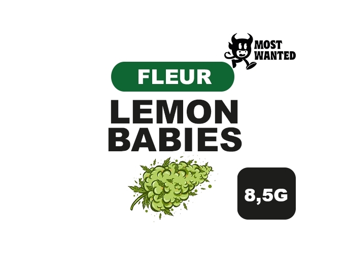 MOST WANTED  LEMON BABIES  8.5G  (8)