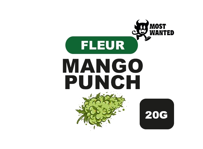 MOST WANTED  MANGO PUNCH  20G  (8)