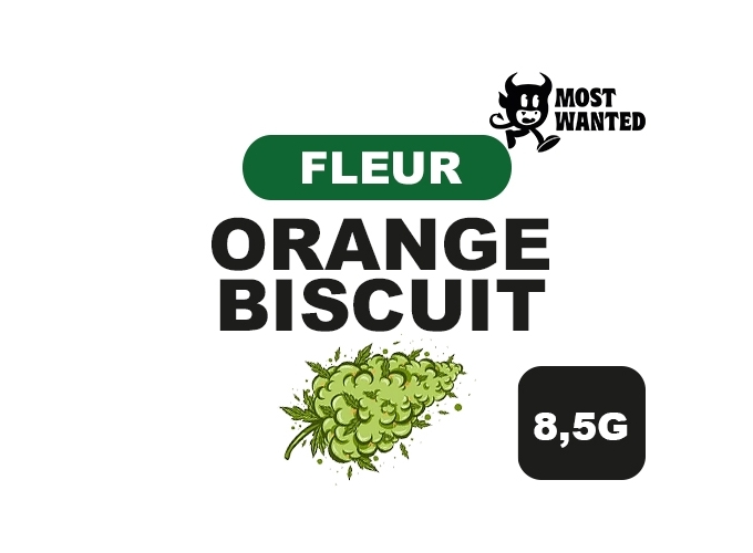 MOST WANTED  ORANGE BISCUIT  8.5G  (8)