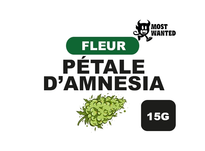 MOST WANTED PETALE D'AMNESIA 15G  (8)