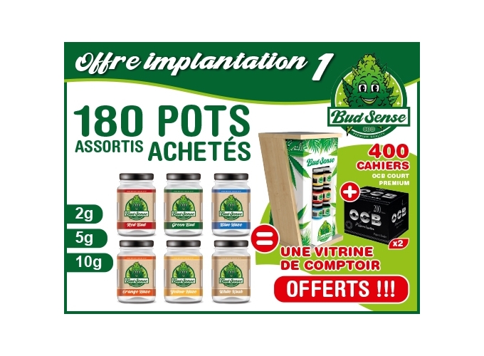 OFFRE IMPLANTATION BUDSENSE