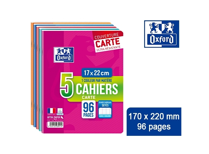 OXFORD PIQURE 170X220 SEYES  96P (10)