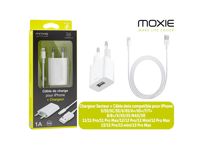 PACK CHARGEUR IPHONE 5 6 7   ADAPT. SECTEUR (1)