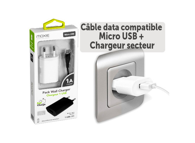 PACK CHARGEUR MICRO USB   ADAPT. SECTEUR 1A (1)