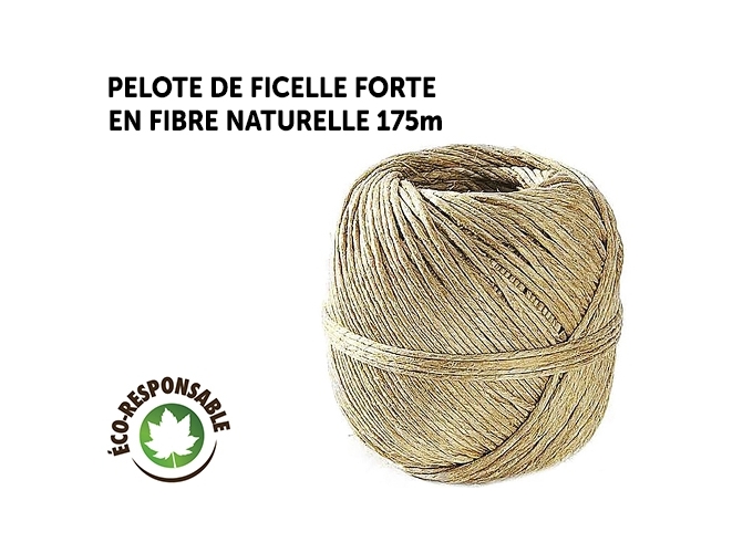 PELOTE DE 175M  DE FICELLE FORTE (10)