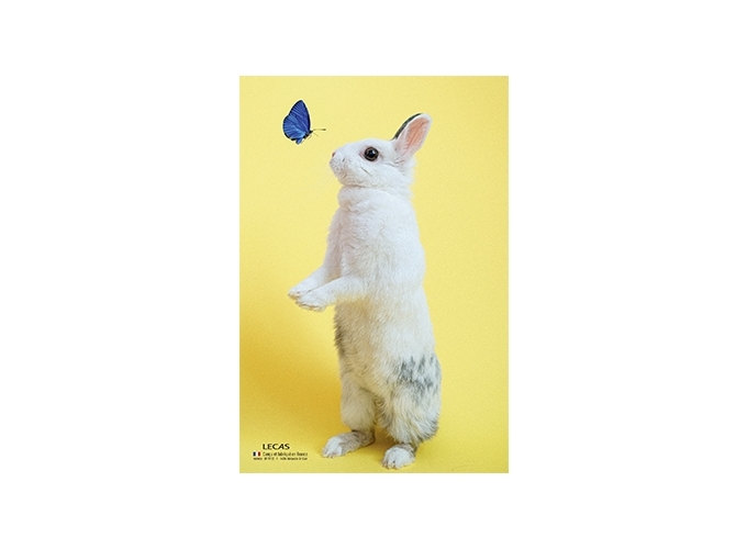 PLAQUE 250 170 ILLUSTREE CLASSIQUE (10)