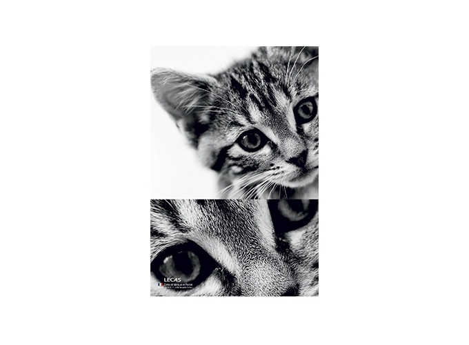 PLAQUE 250 170 ILLUSTREE CLASSIQUE (10)