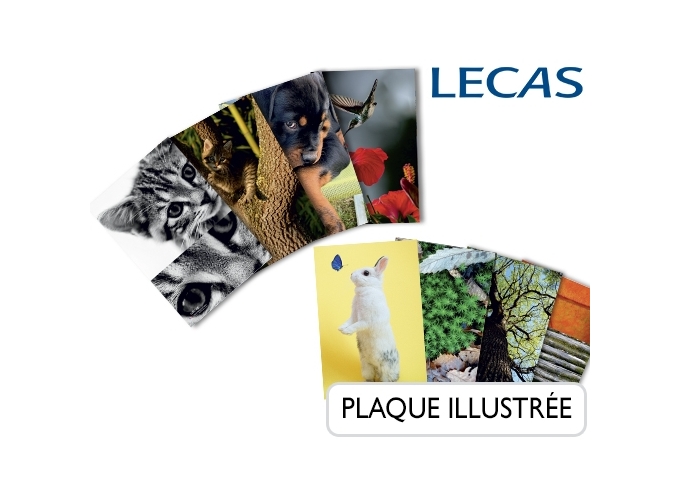 PLAQUE 250 170 ILLUSTREE CLASSIQUE (10)