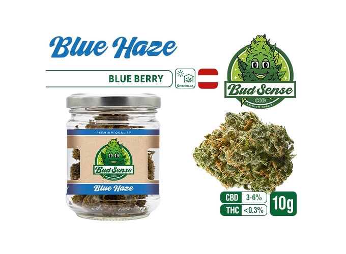 POT CBD  BUDSENSE ''BLUE HAZE'' 10g (10)