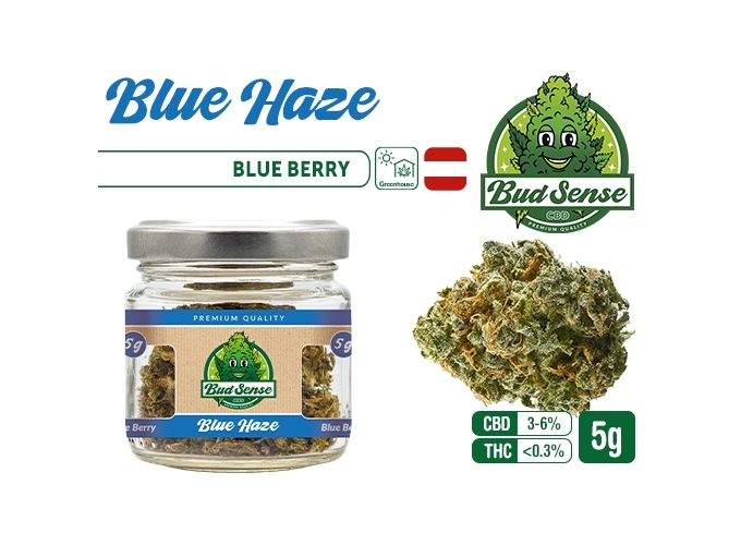 POT CBD  BUDSENSE ''BLUE HAZE'' 5g (10)
