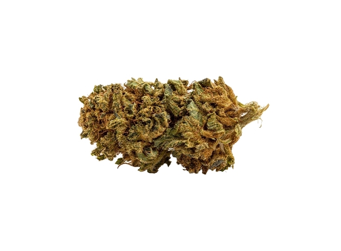 POT CBD  BUDSENSE ''GREEN BUD'' 10g (10)