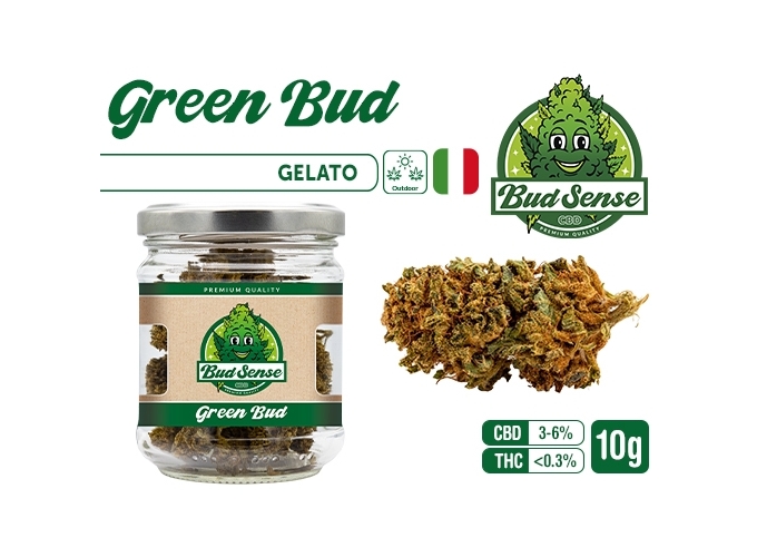 POT CBD  BUDSENSE ''GREEN BUD'' 10g (10)