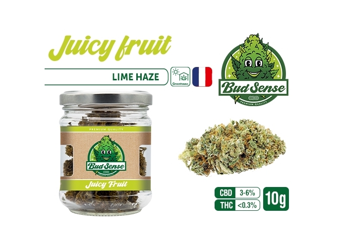 POT CBD  BUDSENSE ''JUICY FRUIT HAZE'' 10g (10)