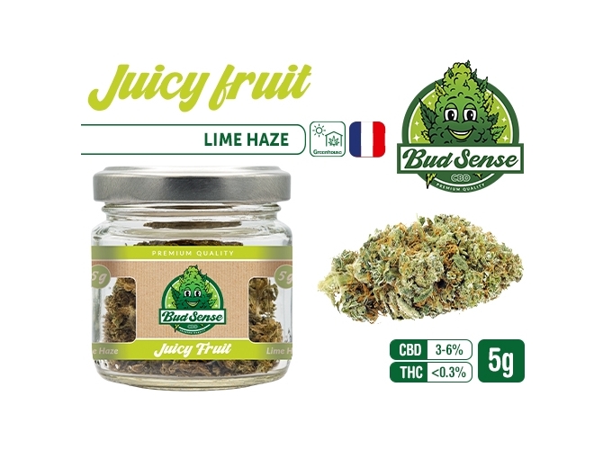 POT CBD  BUDSENSE ''JUICY FRUIT HAZE'' 5g (10)