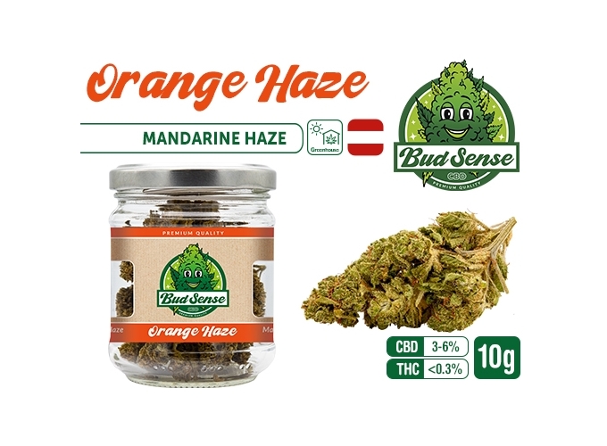 POT CBD  BUDSENSE ''ORANGE HAZE'' 10g (10)