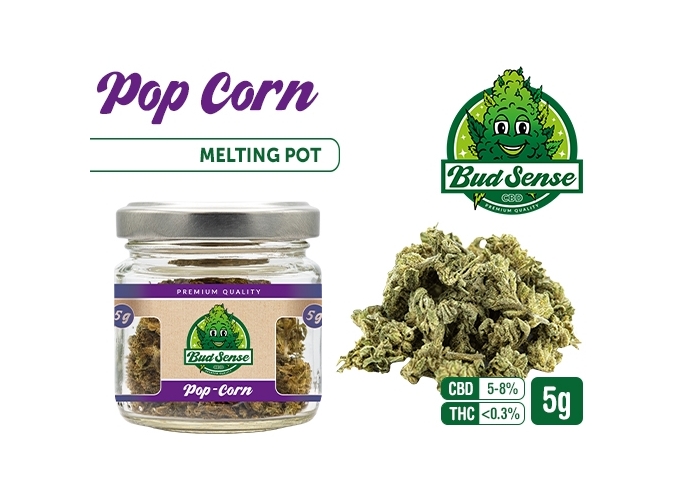 POT CBD  BUDSENSE  ''POPCORN'' 5g (10)