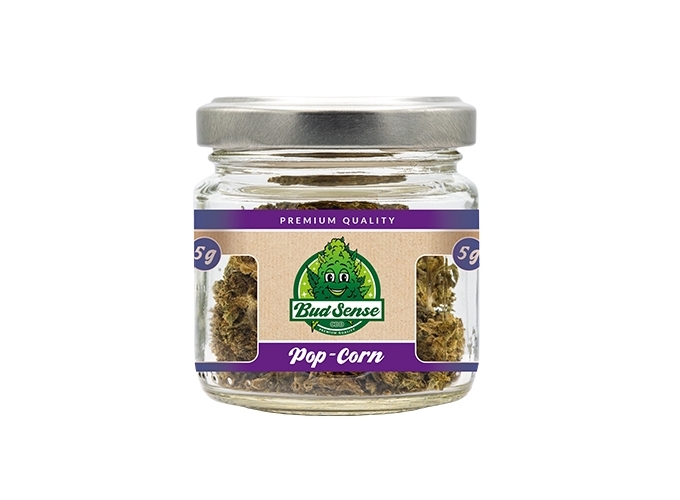 POT CBD  BUDSENSE  ''POPCORN'' 5g (10)