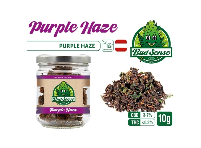 POT CBD  BUDSENSE ''PURPLE HAZE'' 10g (10)
