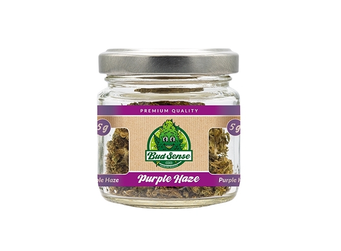 POT CBD  BUDSENSE ''PURPLE HAZE'' 5g (1)