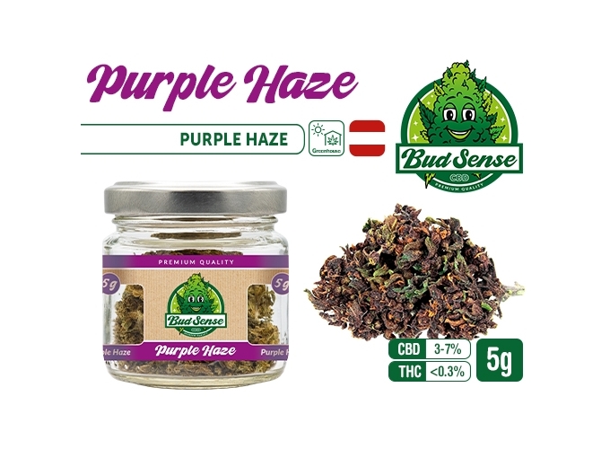 POT CBD  BUDSENSE ''PURPLE HAZE'' 5g (1)