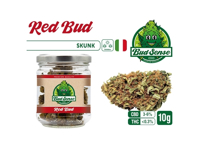 POT CBD  BUDSENSE ''RED BUD'' 10g (10)