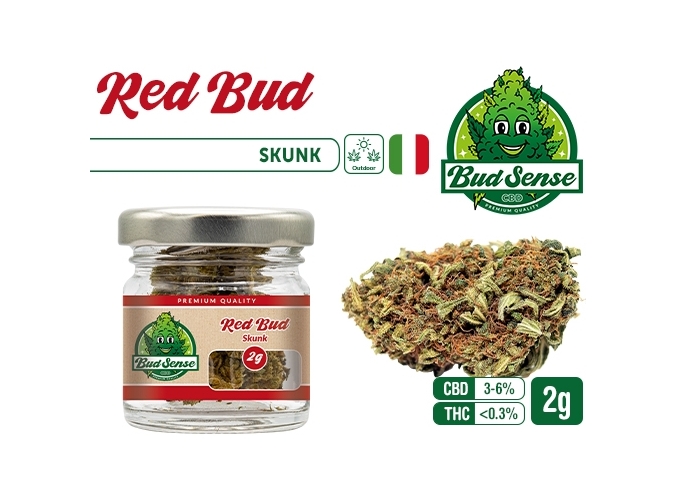 POT CBD  BUDSENSE ''RED BUD'' 2g (10)