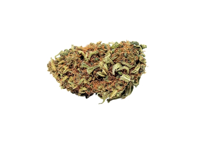 POT CBD  BUDSENSE ''RED BUD'' 2g (10)