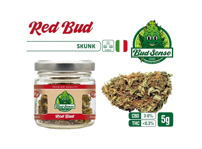 POT CBD  BUDSENSE ''RED BUD'' 5g (10)