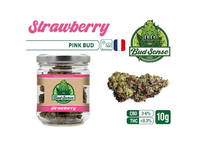 POT CBD  BUDSENSE ''STRAWBERRY BUD'' 10g (10)