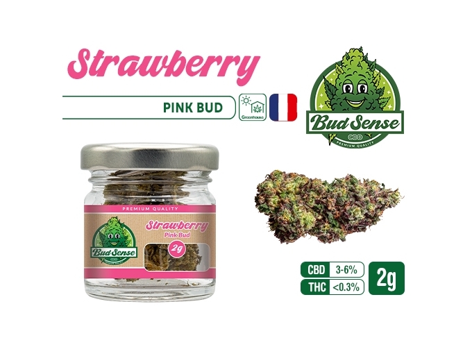 POT CBD  BUDSENSE ''STRAWBERRY BUD'' 2g (10)