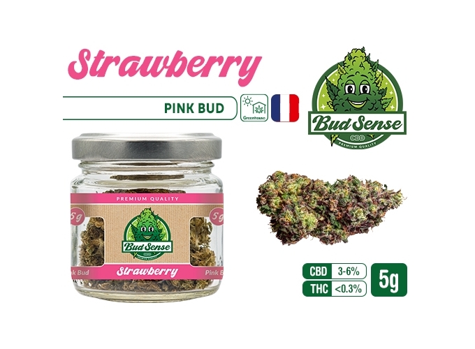 POT CBD  BUDSENSE ''STRAWBERRY BUD'' 5g (10)