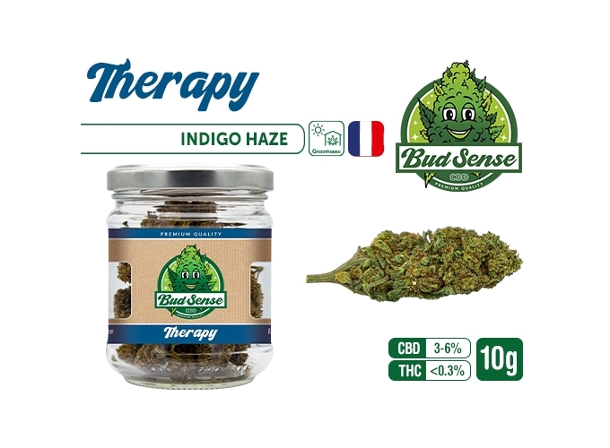 POT CBD  BUDSENSE ''THERAPY HAZE'' 10g (10)