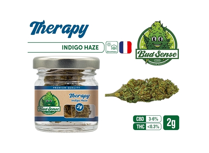 POT CBD  BUDSENSE ''THERAPY HAZE'' 2g (10)