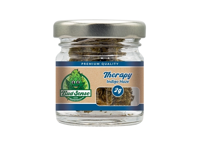 POT CBD  BUDSENSE ''THERAPY HAZE'' 2g (10)