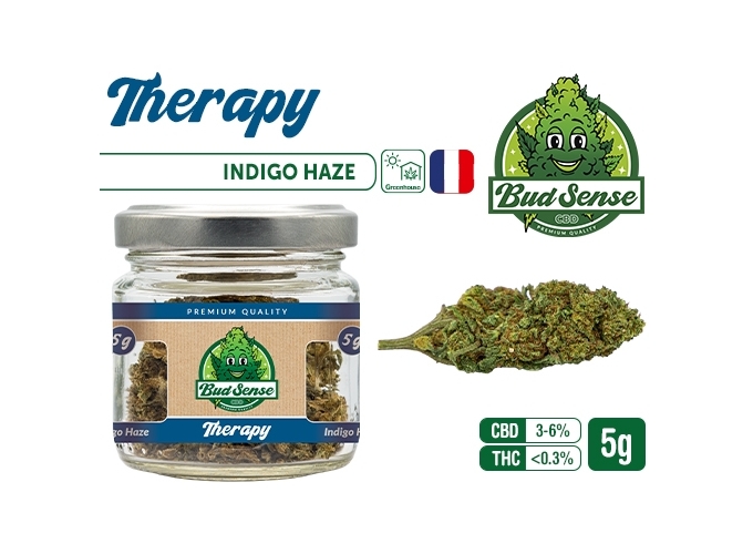 POT CBD  BUDSENSE ''THERAPY HAZE'' 5g (10)