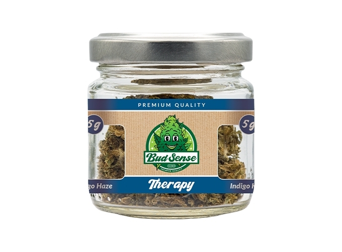 POT CBD  BUDSENSE ''THERAPY HAZE'' 5g (10)