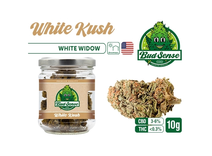 POT CBD  BUDSENSE ''WHITE KUSH'' 10g (10)