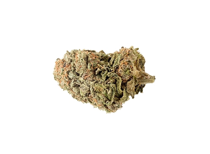 POT CBD  BUDSENSE ''WHITE KUSH'' 10g (10)