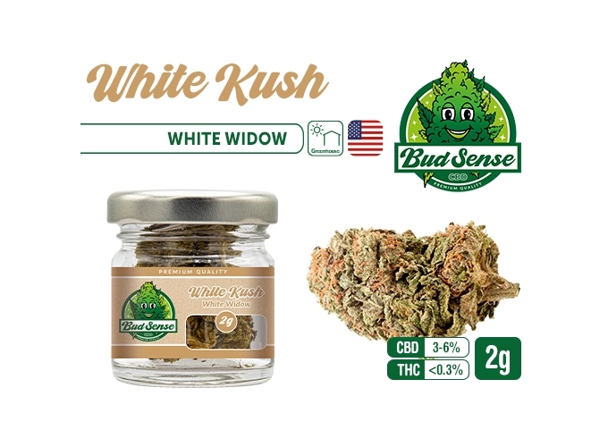 POT CBD  BUDSENSE ''WHITE KUSH'' 2g (10)