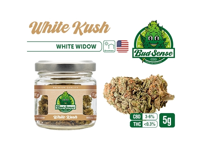 POT CBD  BUDSENSE ''WHITE KUSH'' 5g (10)