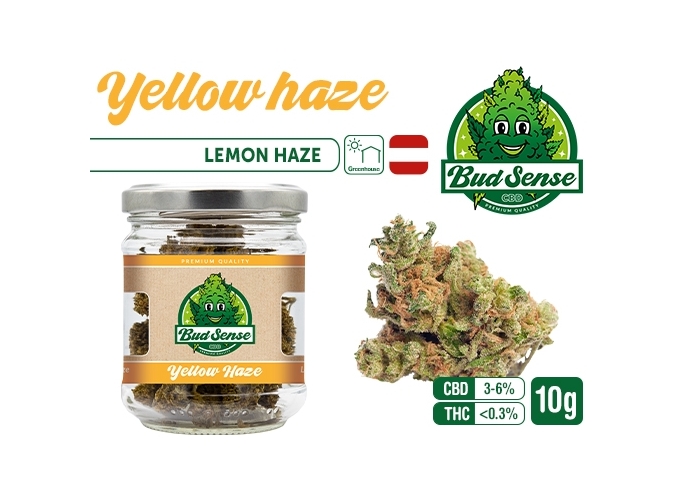 POT CBD  BUDSENSE ''YELLOW HAZE'' 10g (10)