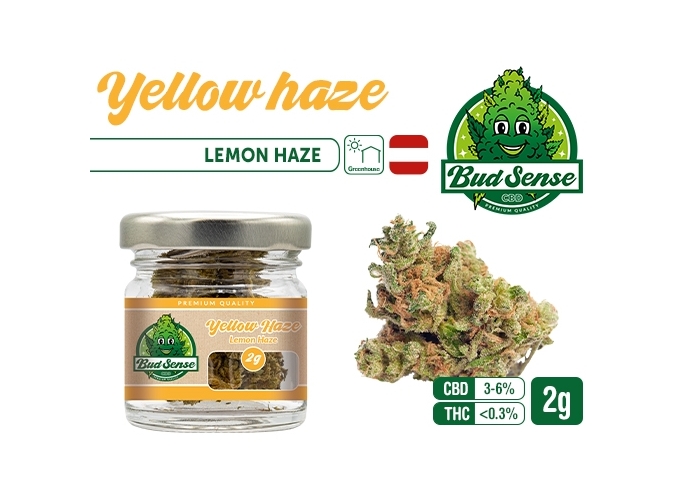 POT CBD  BUDSENSE ''YELLOW HAZE'' 2g (10)