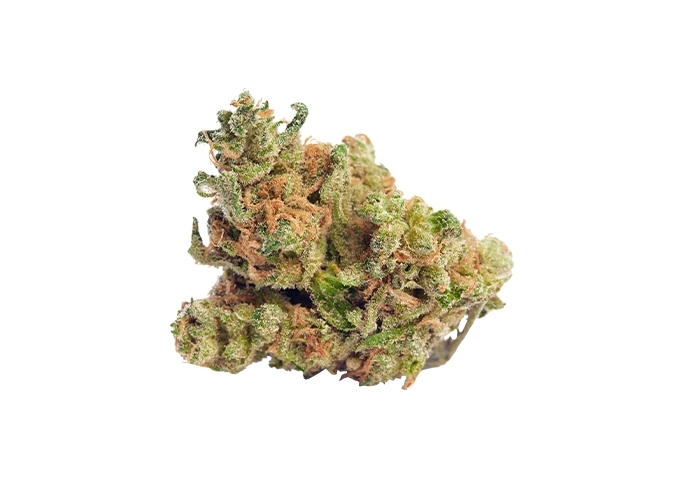 POT CBD  BUDSENSE ''YELLOW HAZE'' 2g (10)