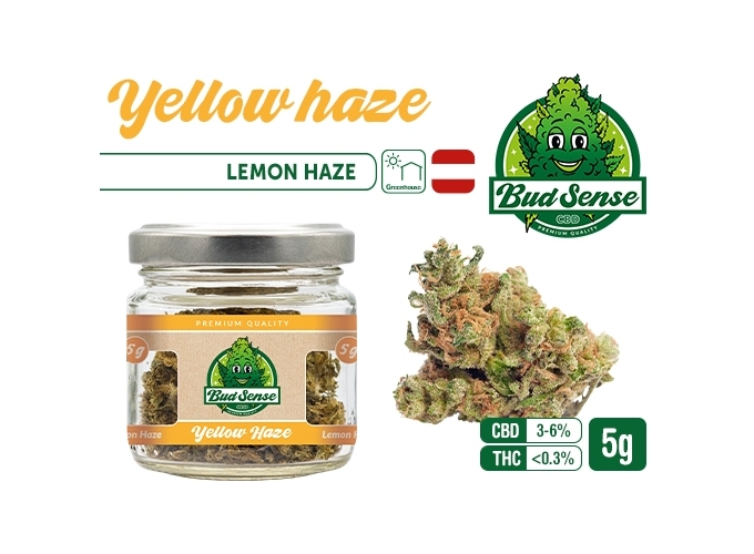 POT CBD  BUDSENSE ''YELLOW HAZE'' 5g (10)