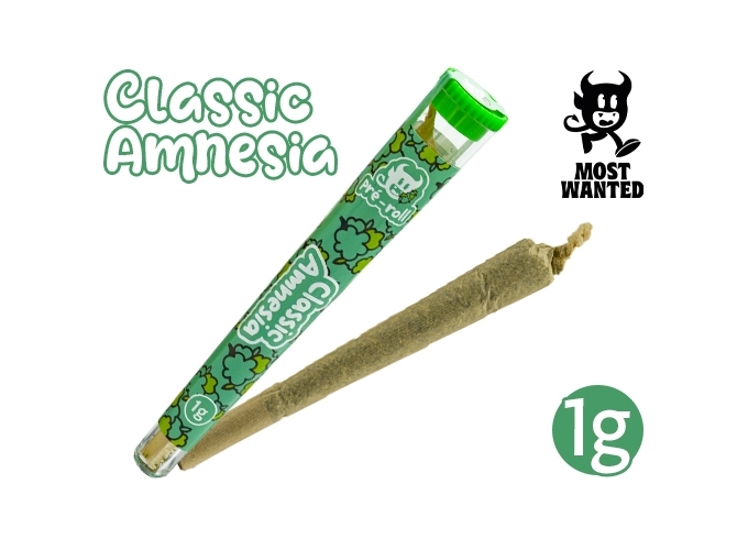 PRE-ROULE MOST WANTED AMNESIA     (30)