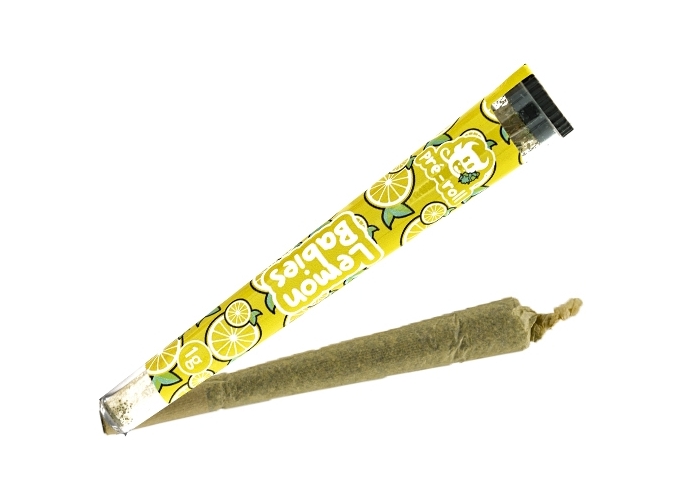 PRE-ROULE MOST WANTED LEMON    (30)
