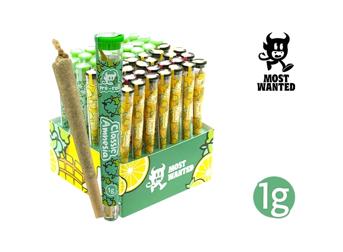 PRE-ROULE MOST WANTED PACK PRE-ROLLS     (49)