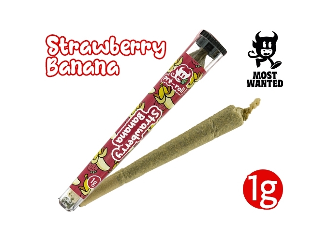 PRE-ROULE MOST WANTED STRAWBERRY     (30)