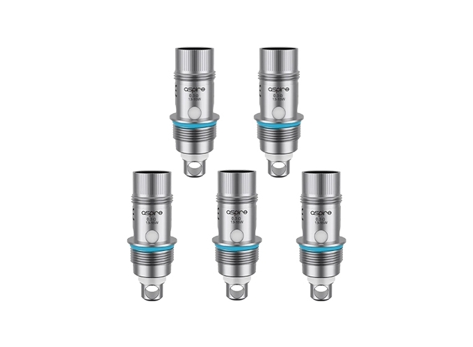 RESISTANCE NAUTILUS 0.3 OHM (5)