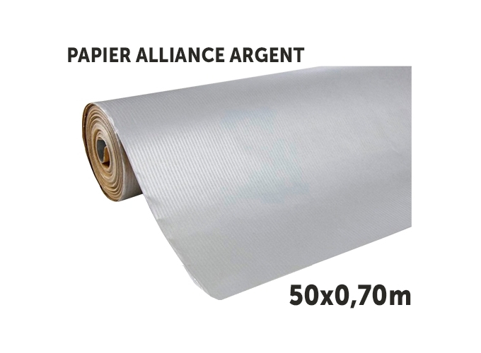 RLX 50MS X 0,70M ARGENT  (1)